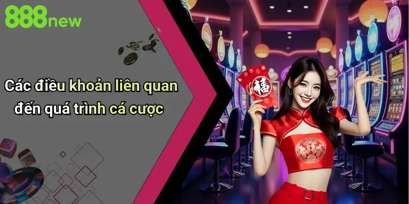 Các điều khoản liên quan đến quá trình cá cược