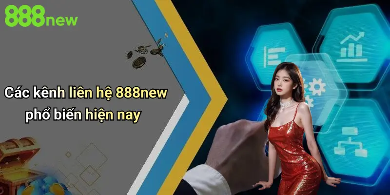 Các kênh liên hệ 888new phổ biến hiện nay