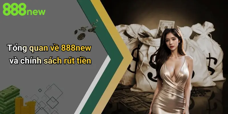 Tổng quan về 888new và chính sách rút tiền