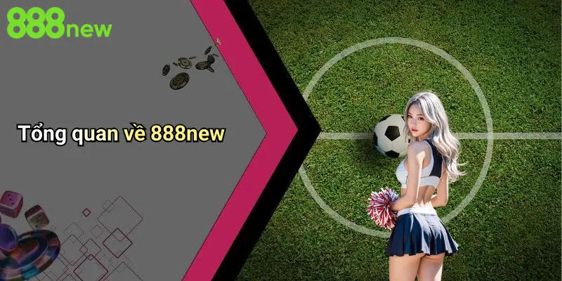 Tổng quan về 888new